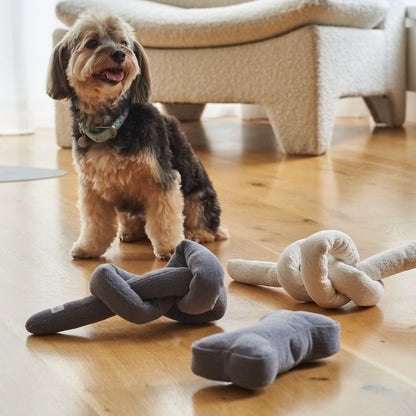 bone toys